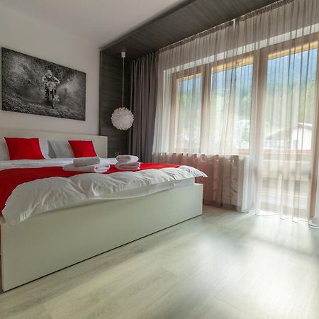 Hrodberht Ski Apartment Busteni Ngoại thất bức ảnh