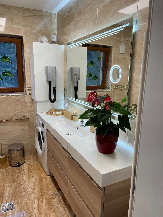 Hrodberht Ski Apartment Busteni Ngoại thất bức ảnh