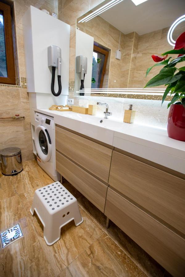 Hrodberht Ski Apartment Busteni Ngoại thất bức ảnh